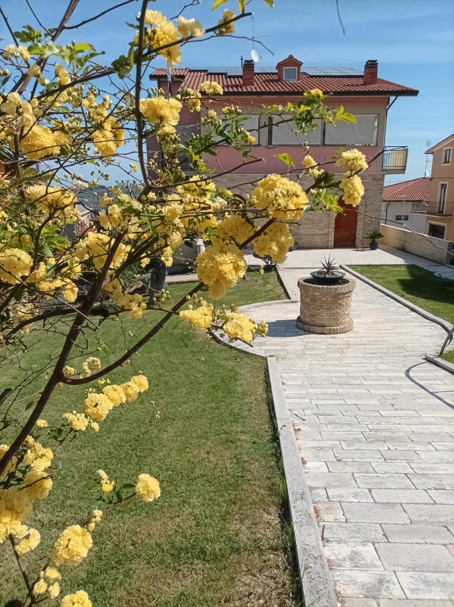 Villa Istonia Cupello Eksteriør billede